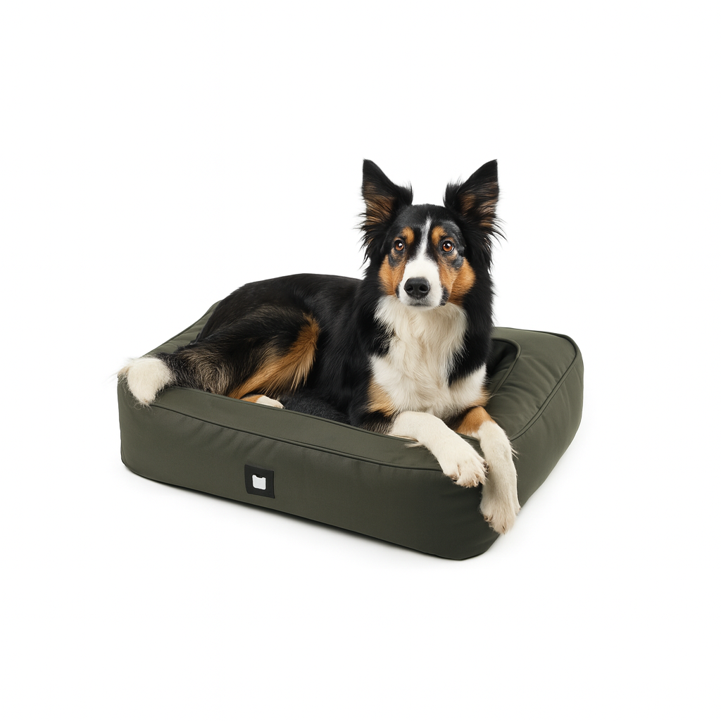 B-Dog Luxury Dogbed